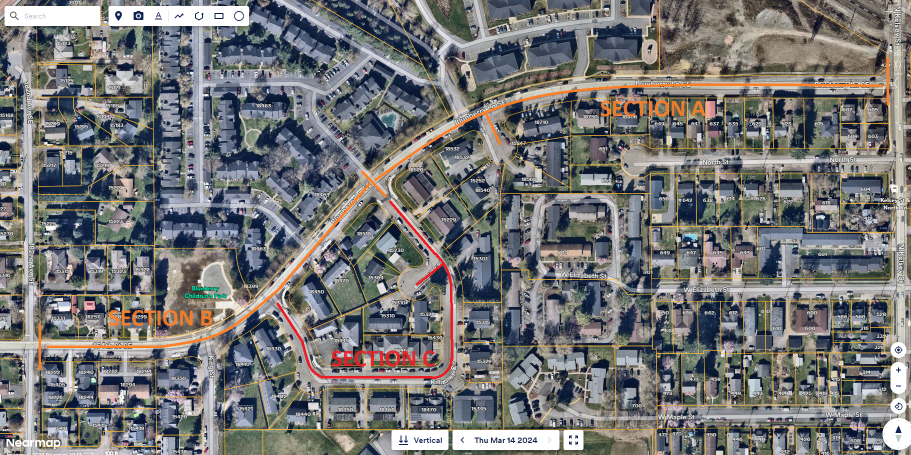 blueberry closure picture