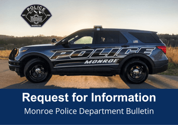 Request for Information Template