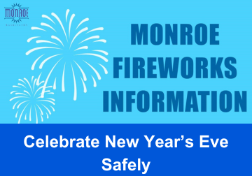 Fireworks Info graphic