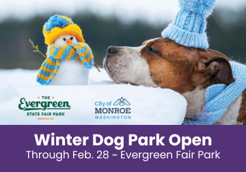 Winter Dog Park Open
