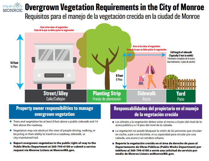Overgrown Vegetation Diagram