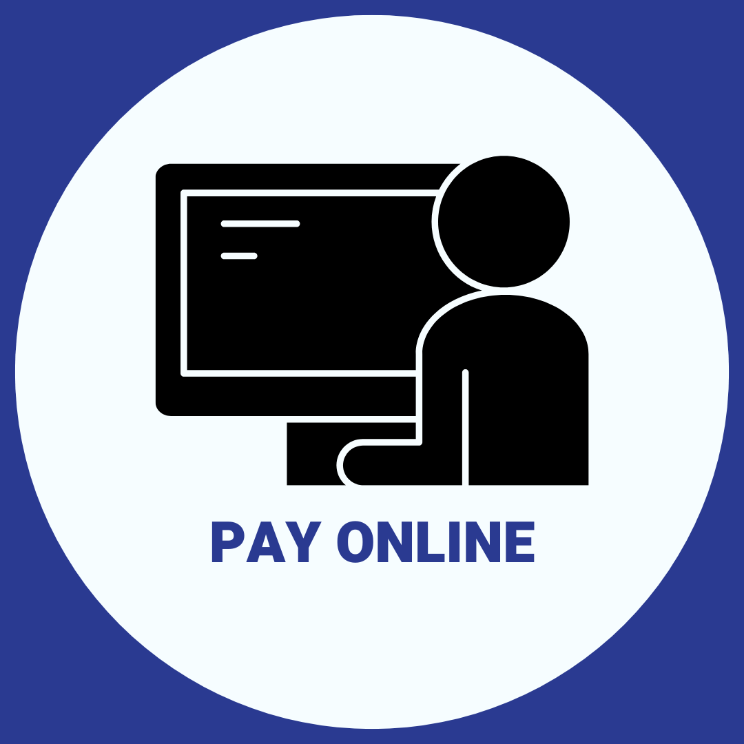 pay online icon